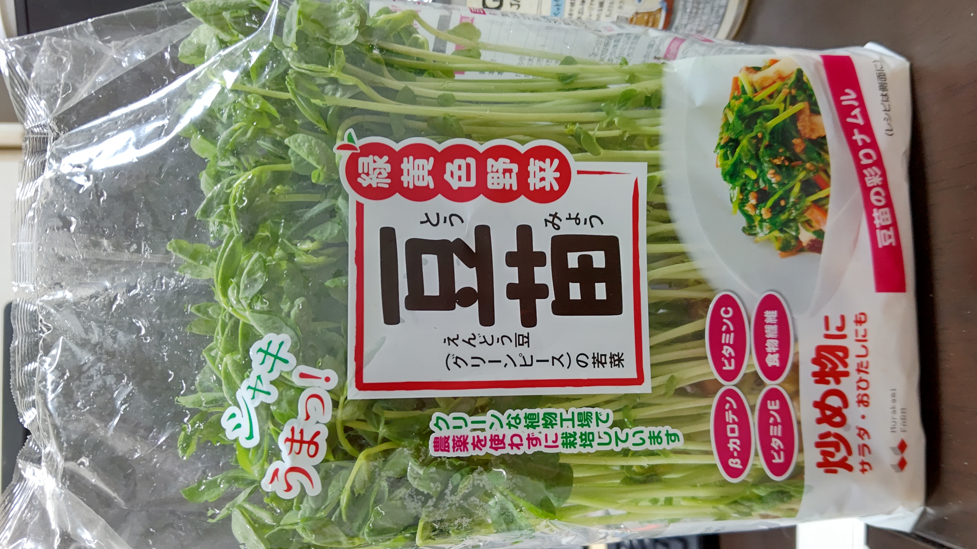 買ってきた豆苗の写真